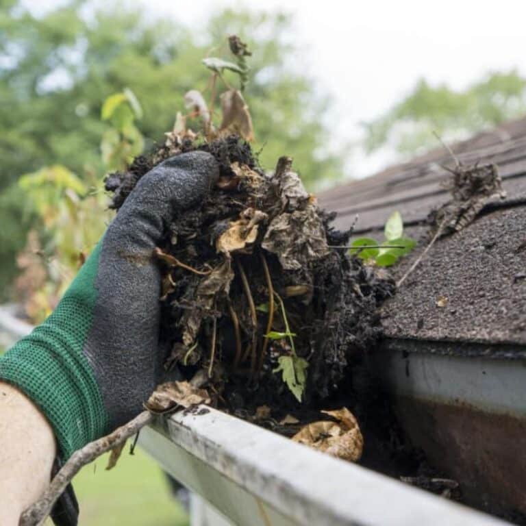 Gutter Cleaning Company in League City, TX