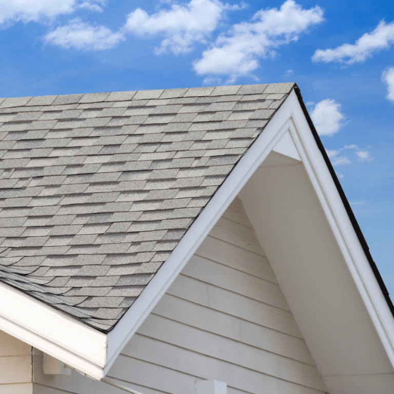 Best Roof Cleaning Company in League City, TX